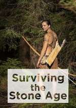 Watch Surviving the Stone Age Megashare8
