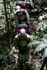 Watch Walking The Amazon Megashare8