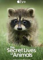 Watch The Secret Lives of Animals Megashare8