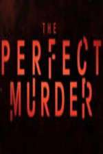 Watch The Perfect Murder Megashare8