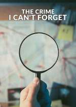 Watch The Crime I Can't Forget Megashare8