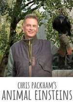 Watch Chris Packham's Animal Einsteins Megashare8