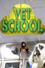 Watch Vet School Megashare8