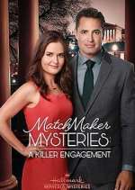 Watch The Matchmaker Mysteries Megashare8