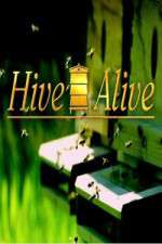 Watch Hive Alive Megashare8