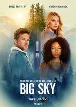 Watch Big Sky Megashare8