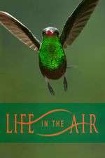 Watch Life in the Air Megashare8