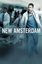 Watch New Amsterdam Megashare8