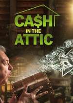 Watch Cash in the Attic Megashare8