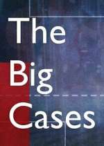Watch The Big Cases Megashare8