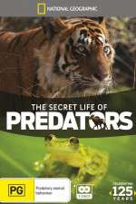 Watch Secret Life of Predators Megashare8