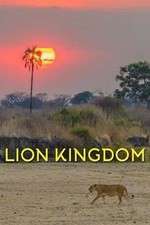 Watch Lion Kingdom Megashare8