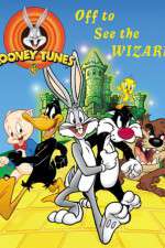 Watch The Looney Tunes Show Megashare8