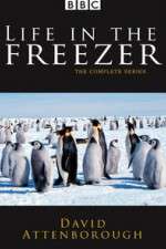 Watch Life in the Freezer Megashare8