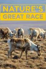 Watch Nature's Great Race Megashare8