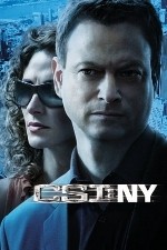 Watch CSI: NY / New York Megashare8