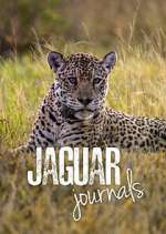 Watch Jaguar Journals Megashare8