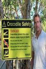 Watch Swimming With Crocodiles Megashare8