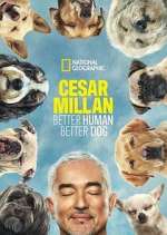 Watch Cesar Millan: Better Human Better Dog Megashare8