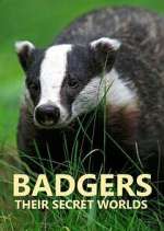 Watch Badgers: Their Secret Worlds Megashare8