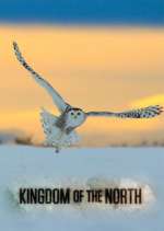 Watch Kingdom of the North Megashare8