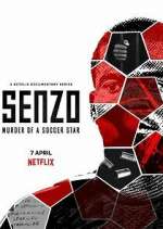 Watch Senzo: Murder of a Soccer Star Megashare8