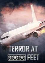 Watch Terror at 30,000 Feet Megashare8