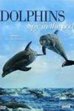 Watch Dolphins: Spy in the Pod Megashare8