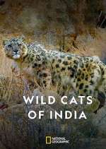 Watch Wild Cats of India Megashare8