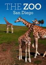 Watch The Zoo: San Diego Megashare8
