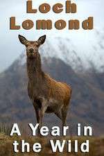 Watch Loch Lomond: A Year in the Wild Megashare8