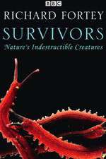 Watch Survivors: Nature's Indestructible Creatures Megashare8