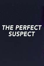 Watch The Perfect Suspect Megashare8