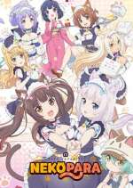 Watch Nekopara Megashare8