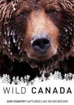 Watch Wild Canada Megashare8