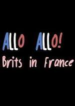 Watch Allo Allo! Brits in France Megashare8