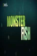 Watch National Geographic Monster Fish Megashare8