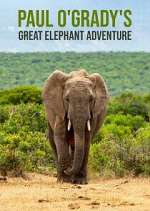 Watch Paul O'Grady's Great Elephant Adventure Megashare8