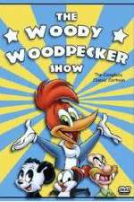 Watch The Woody Woodpecker Show Megashare8