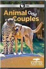 Watch Animal Odd Couples Megashare8