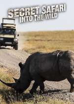 Watch Secret Safari: Into the Wild Megashare8