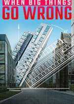 Watch When Big Things Go Wrong Megashare8