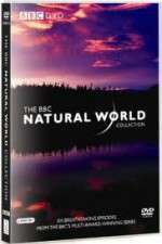 Watch The Natural World Megashare8