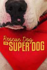 Watch Rescue Dog to Super Dog (US) Megashare8