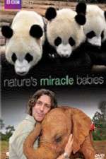 Watch Natures Miracle Babies Megashare8
