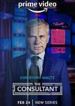 Watch The Consultant Megashare8