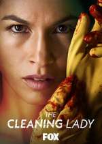 Watch The Cleaning Lady Megashare8