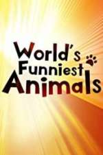 Watch The World\'s Funniest Animals Megashare8