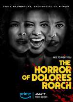 Watch The Horror of Dolores Roach Megashare8