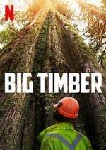 Watch Big Timber Megashare8